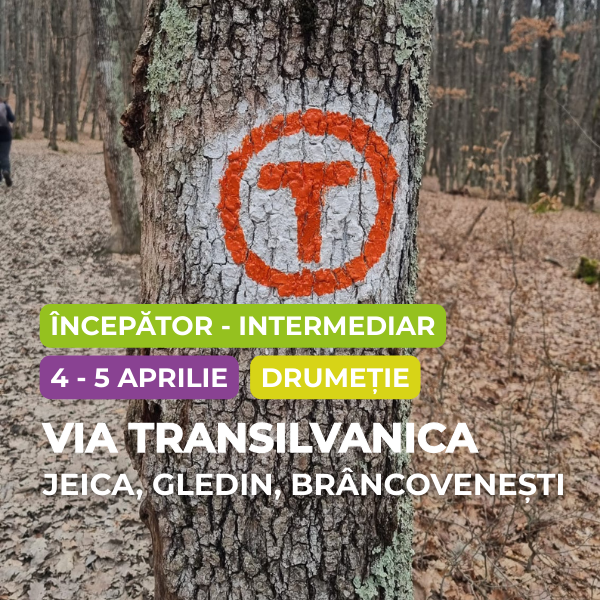 Via Transilvanica Gledin-Jeica-Brancovenesti