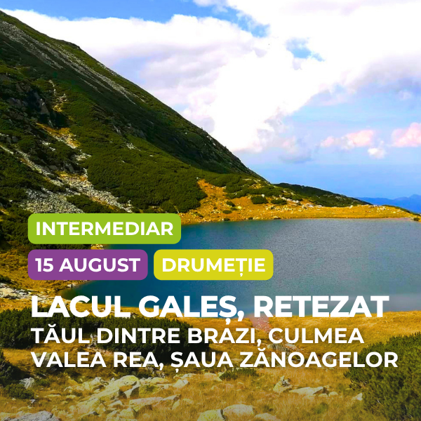 drumetie lacul gales, retezat