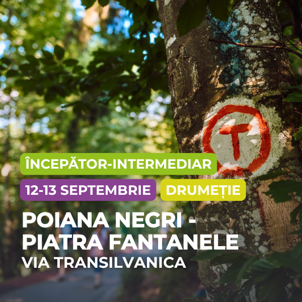 Via Transilvanica Poiana Negri