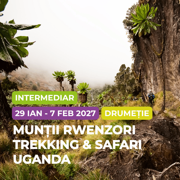rwenzori