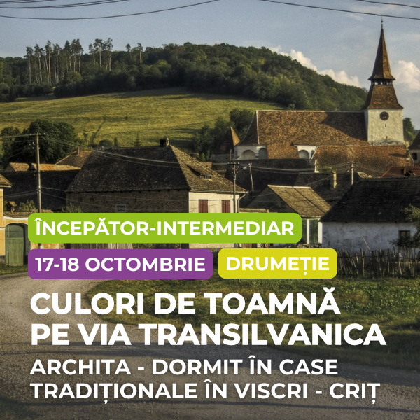 archita-viscri-crit