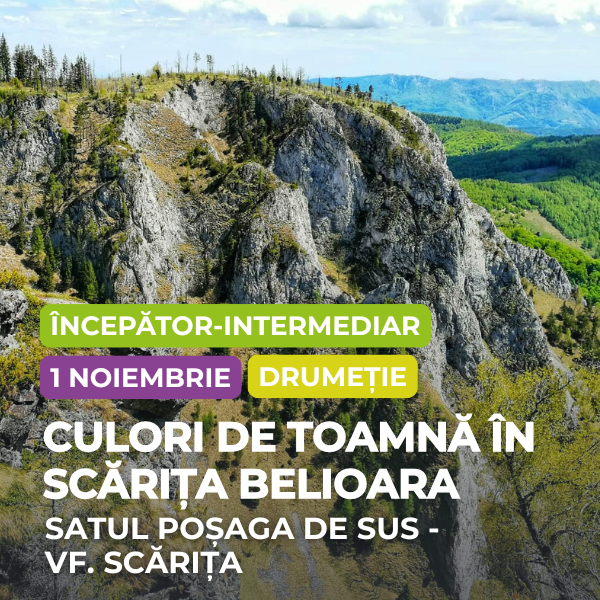 scarita belioara